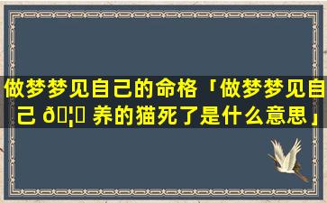 做梦梦见自己的命格「做梦梦见自己 🦁 养的猫死了是什么意思」